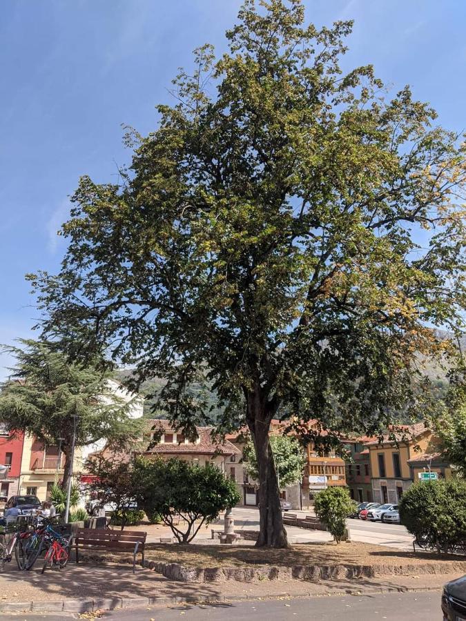 Hotel La Plaza برواثا المظهر الخارجي الصورة
